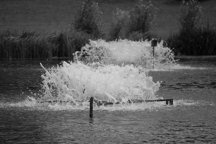 Photographie intitulée "fontaine" par L'Écureuil Chapardeur, Œuvre d'art originale, Photographie numérique