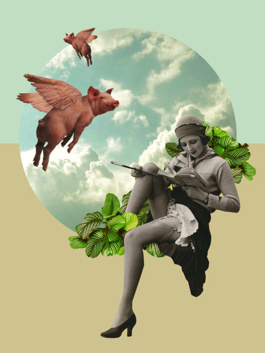 Digital Arts titled "Shelter from pigs o…" by Mauricio Ríos, Original Artwork, Photo Montage