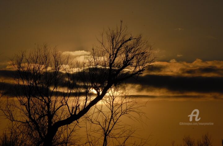 Photography titled "reveil en camargue" by Martine Maury, Original Artwork, Non Manipulated Photography