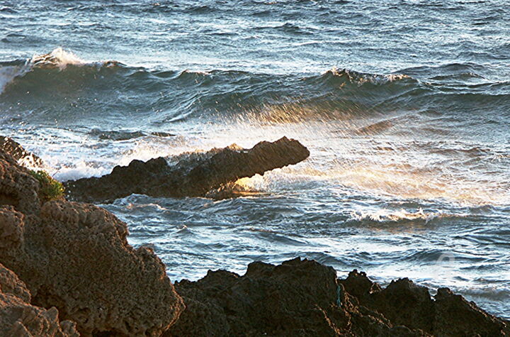 Photographie intitulée "le crocodile de la…" par Martine Maury, Œuvre d'art originale, Photographie non manipulée