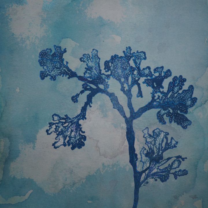 Peinture intitulée "algue Erythrophillu…" par Maxime Tauban, Œuvre d'art originale, Aquarelle Monté sur Panneau de bois