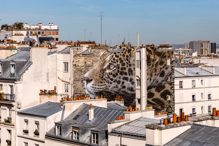 Fotografia zatytułowany „Un léopard à Montma…” autorstwa Maxl, Oryginalna praca, Manipulowana fotografia