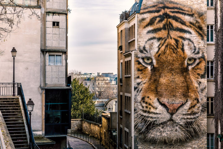 Fotografie getiteld "Un tigre en ville" door Maxl, Origineel Kunstwerk, Gemanipuleerde fotografie