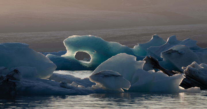 Photographie intitulée "Narval de glace" par Max Lévine, Œuvre d'art originale, Photographie numérique Monté sur Aluminium
