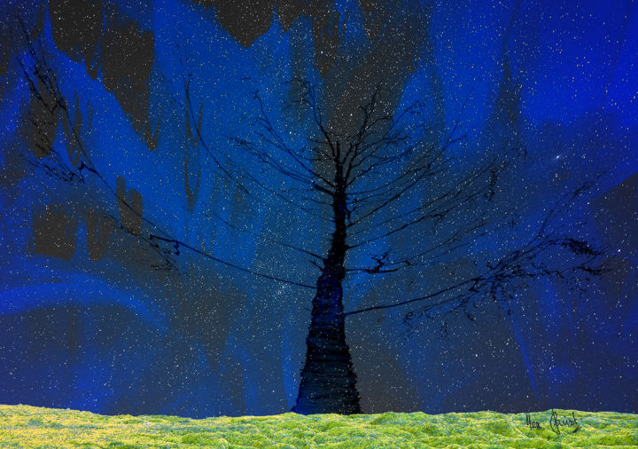 Arte digital titulada "arbre-sous-un-ciel-…" por Max Parisot Du Lyaumont, Obra de arte original, Pintura Digital Montado en…