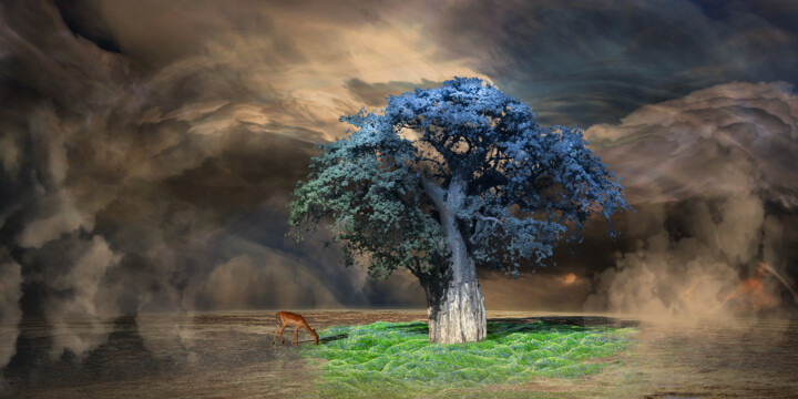 Digital Arts titled "Baobab nouvelle gén…" by Max Parisot Du Lyaumont, Original Artwork, Digital Painting