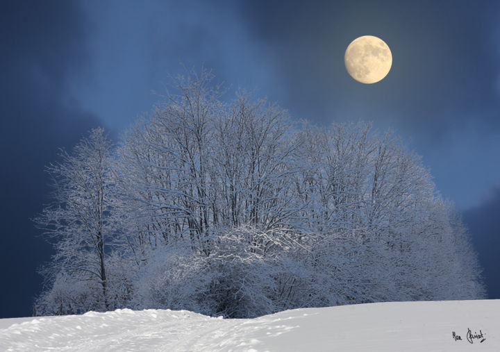 Arts numériques intitulée "Paysage de neige av…" par Max Parisot Du Lyaumont, Œuvre d'art originale, Photo montage