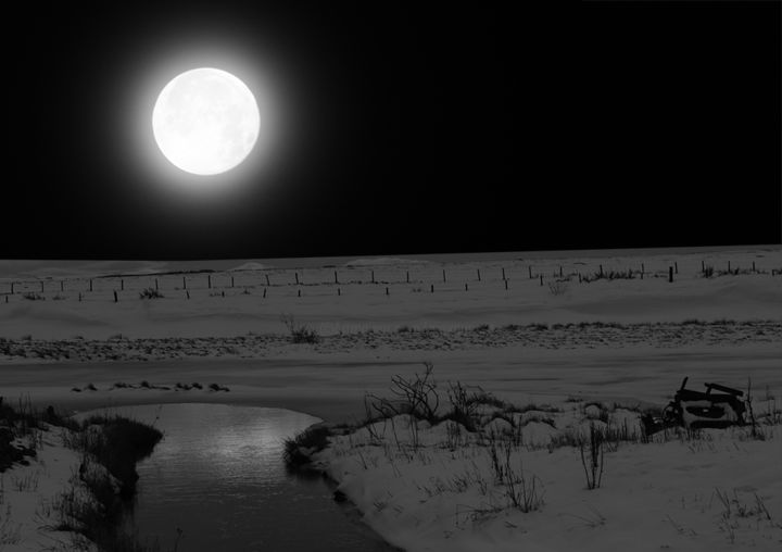 Arts numériques intitulée "Paysage noir et bla…" par Max Parisot Du Lyaumont, Œuvre d'art originale, Photo montage