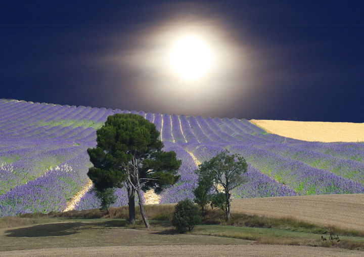 Arte digital titulada "Lune et lavande" por Max Parisot Du Lyaumont, Obra de arte original, Foto-montaje