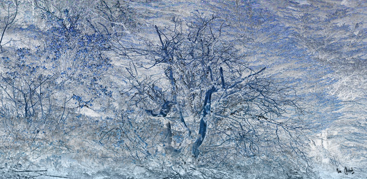 Digital Arts titled "Désert bleu" by Max Parisot Du Lyaumont, Original Artwork, Digital Painting Mounted on Wood Stretcher f…
