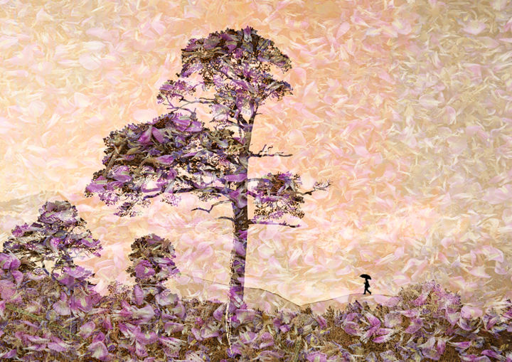 Arte digital titulada "une-pluie-de-pétales" por Max Parisot Du Lyaumont, Obra de arte original, Pintura Digital Montado en…