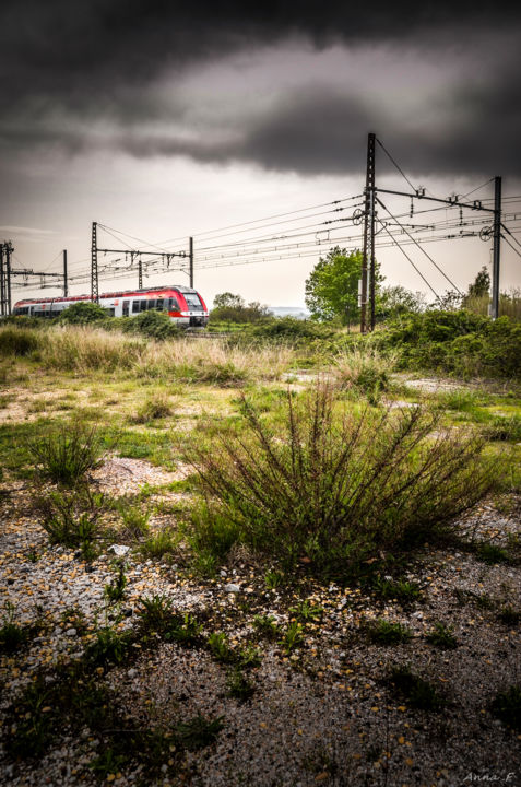 摄影 标题为“Train” 由Anna Fratoni, 原创艺术品