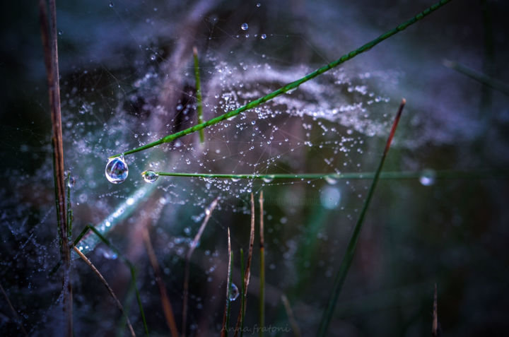 Photographie intitulée "Après la pluie" par Anna Fratoni, Œuvre d'art originale