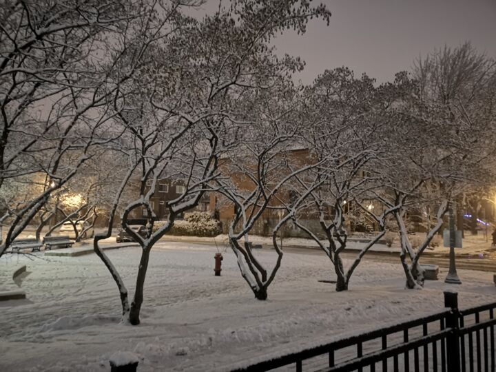 Photographie intitulée "L'hiver" par Mc Devésa, Œuvre d'art originale, Photographie numérique