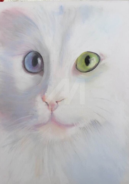 Chat Blanc Aux Yeux Vairons Painting By Mc Toulouse Artmajeur Chat Blanc Aux Yeux Vairons Painting By Mc Toulouse Artmajeur