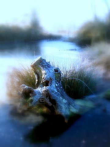 Photographie intitulée "Buée bleue" par Christine Fric, Œuvre d'art originale