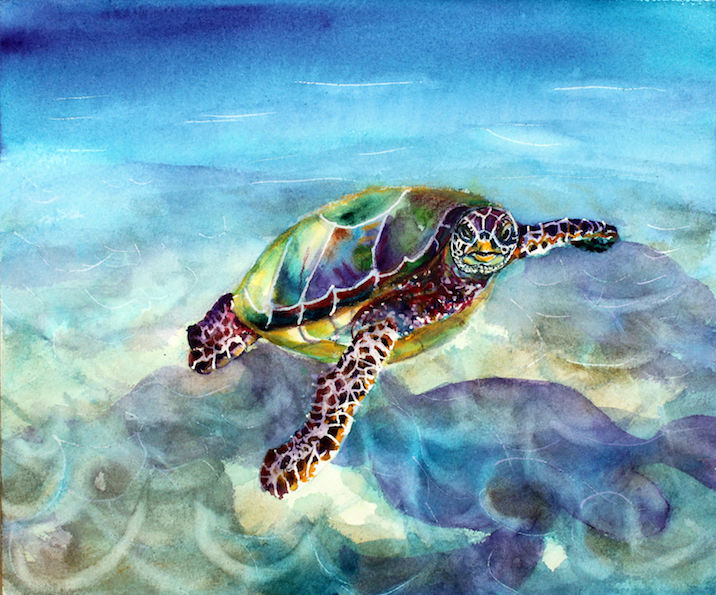 Painting titled "Turtle" by Agnes Mclaughlin, Original Artwork, Watercolor