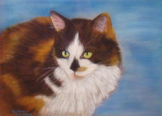 Painting titled "chat plume" by Martine Cart-Lamy, Original Artwork