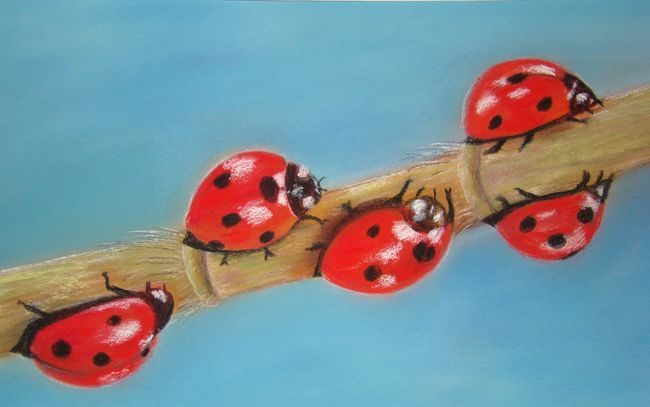 Painting titled "Coccinelles" by Martine Cart-Lamy, Original Artwork