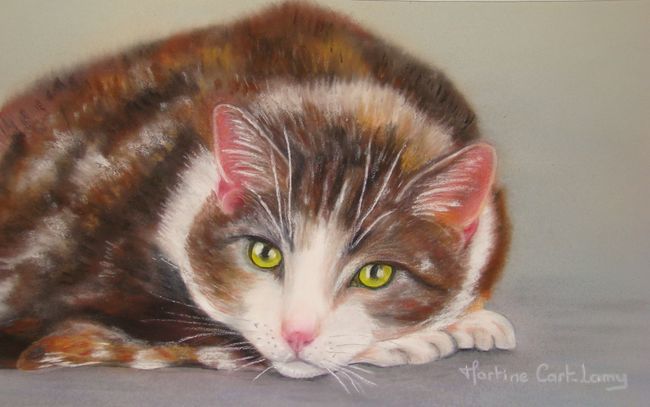 Painting titled "chat" by Martine Cart-Lamy, Original Artwork