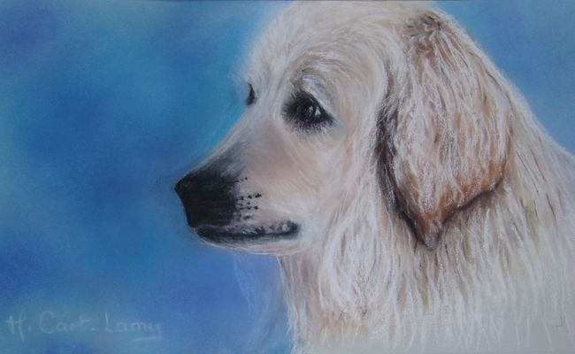 Painting titled "Marius le chien" by Martine Cart-Lamy, Original Artwork