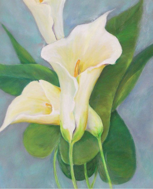 Painting titled "arums" by Marie Claude Mauffrey, Original Artwork, Oil