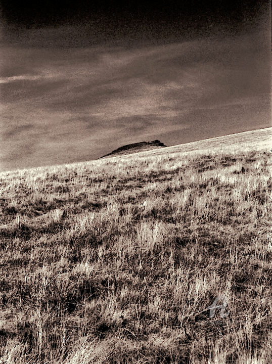 Fotografia zatytułowany „Landscape II” autorstwa Marco Brugts, Oryginalna praca, Fotografia cyfrowa