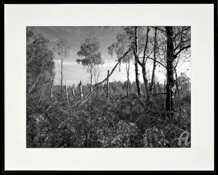 Fotografia zatytułowany „Sun after the storm…” autorstwa Marco Brugts, Oryginalna praca, Fotografia cyfrowa