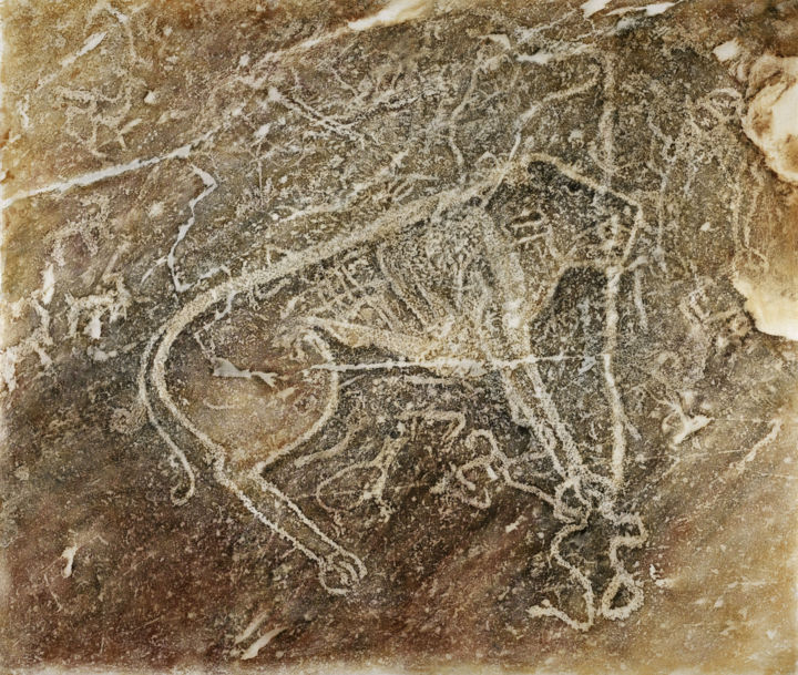 Printmaking titled "Tiger and snake (Ти…" by Edward Loginov, Original Artwork, Other