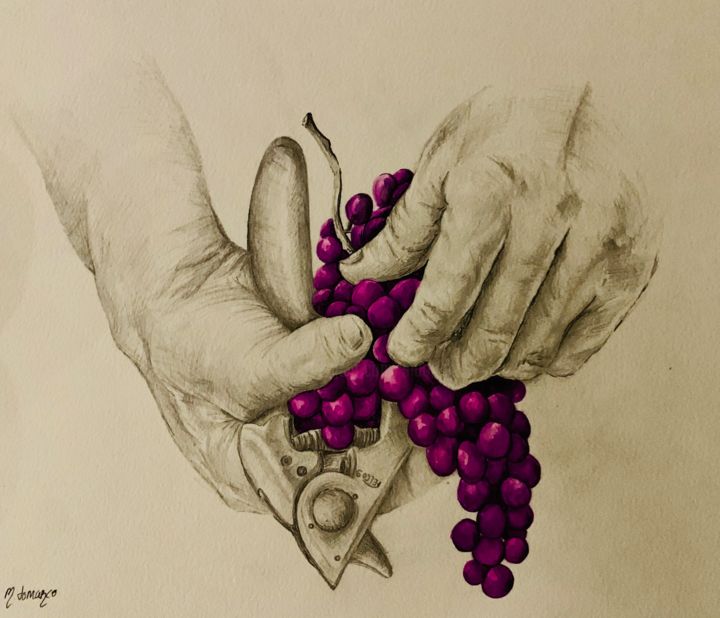 Drawing titled "“VINDEMIA”" by M.Domarco, Original Artwork, Pencil
