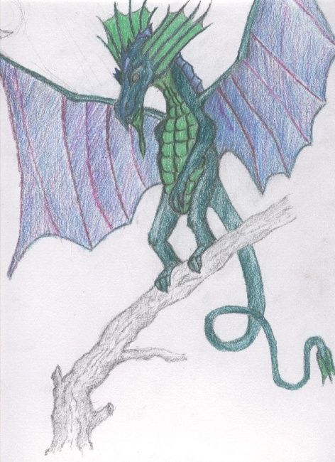 Drawing titled "dragon" by Medb Tairfer, Original Artwork