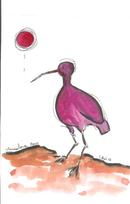 Desenho intitulada "Ibis" por Medora, Obras de arte originais