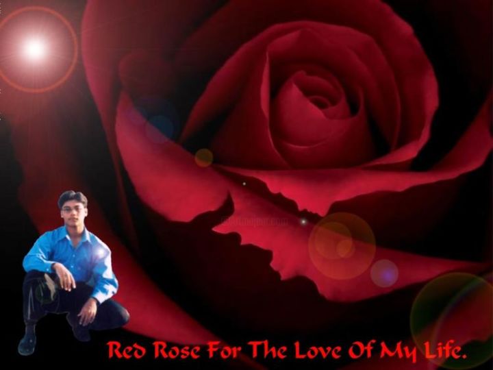 Photography titled "Red Rose For The Lo…" by Mehedy Mizan, Original Artwork
