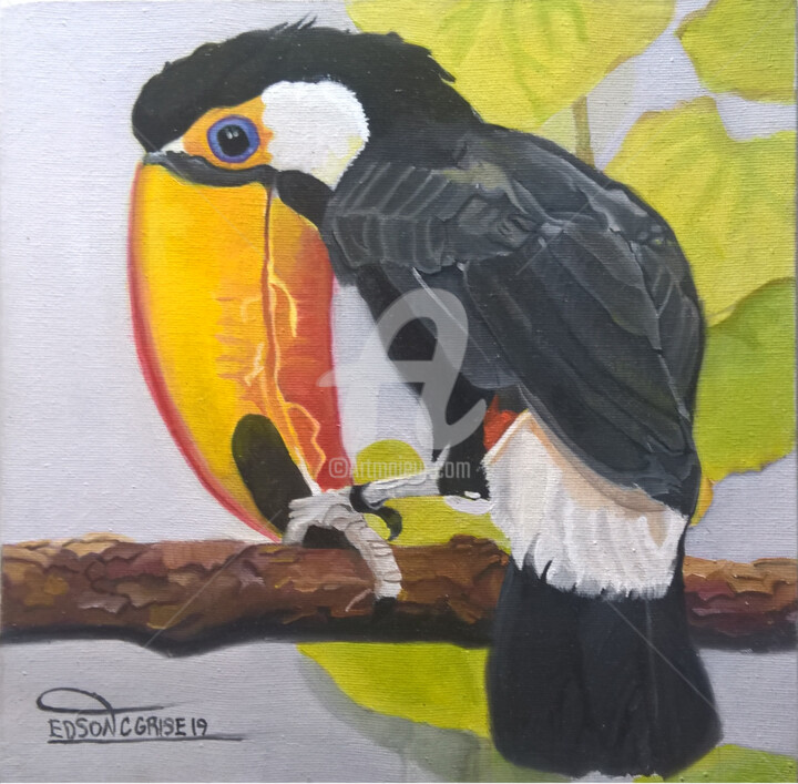 Painting titled "tucano toco" by Edson C.Grise, Original Artwork, Oil Mounted on Wood Panel
