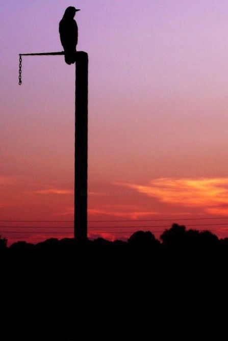 摄影 标题为“Sunset upon the lake” 由Meline White, 原创艺术品, 数码摄影