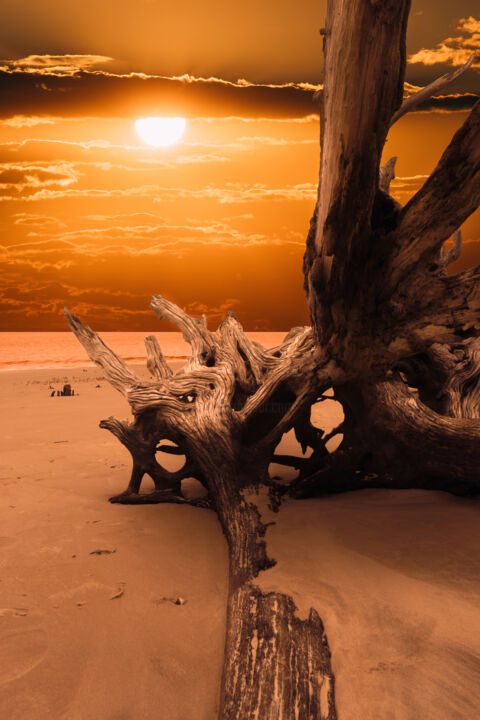 Photography titled "Golden Sunrise and…" by Melissa Fague, Original Artwork, Digital Photography