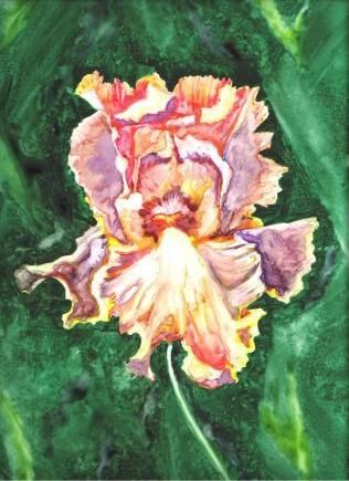 Painting titled "Iris on YUPO" by Marsha Elliott, Original Artwork