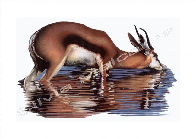 Painting titled ""antilope"" by Nenarias, Original Artwork