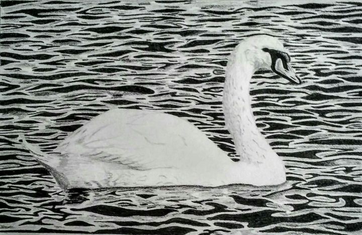 Zeichnungen mit dem Titel "Swan" von Mendoza Fine Arts, Original-Kunstwerk, Graphit