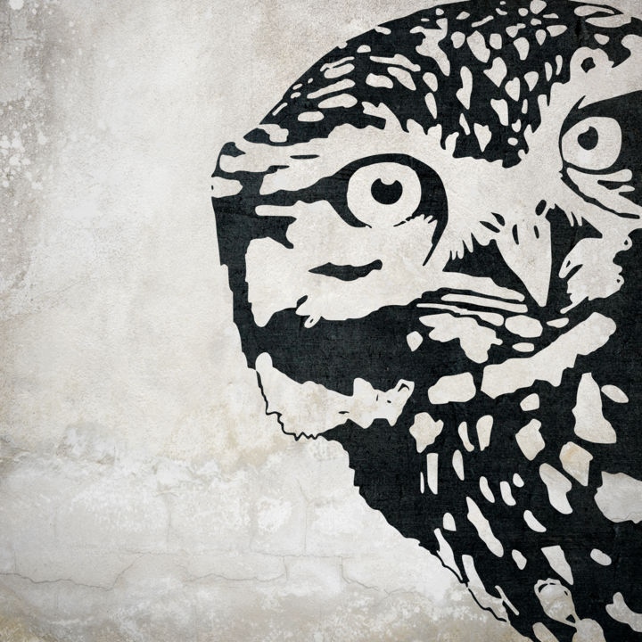 Artes digitais intitulada "Owl" por Nebula, Obras de arte originais, Foto Montagem