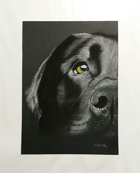 Painting titled "Chien" by Corinne Mercier, Original Artwork, Pastel