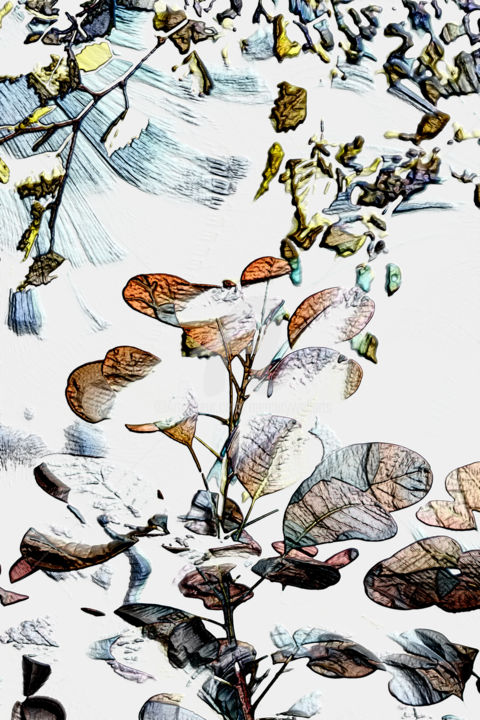 Digital Arts titled "Winter Garden" by Richard Cresswell Thomas, Original Artwork, 2D Digital Work