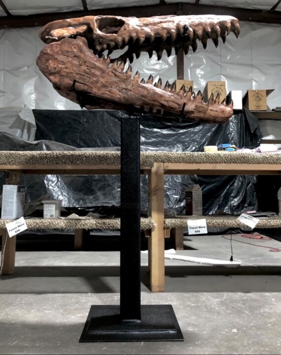 Sculpture intitulée "Fossil Mosasaurus" par Merrill Orr, Œuvre d'art originale, Métaux