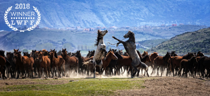 Fotografie getiteld "Büyük Dövüş Lookout…" door Merthan Kortan, Origineel Kunstwerk, Digitale fotografie