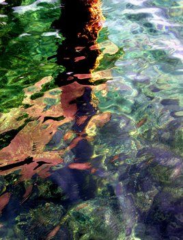 "Reflections in the…" başlıklı Fotoğraf Metin Cansız tarafından, Orijinal sanat