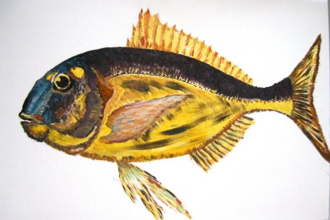 Peinture intitulée "Fish__16.jpg" par Metin Cansız, Œuvre d'art originale
