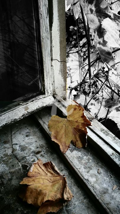 Photographie intitulée "what remained from…" par Metin, Œuvre d'art originale