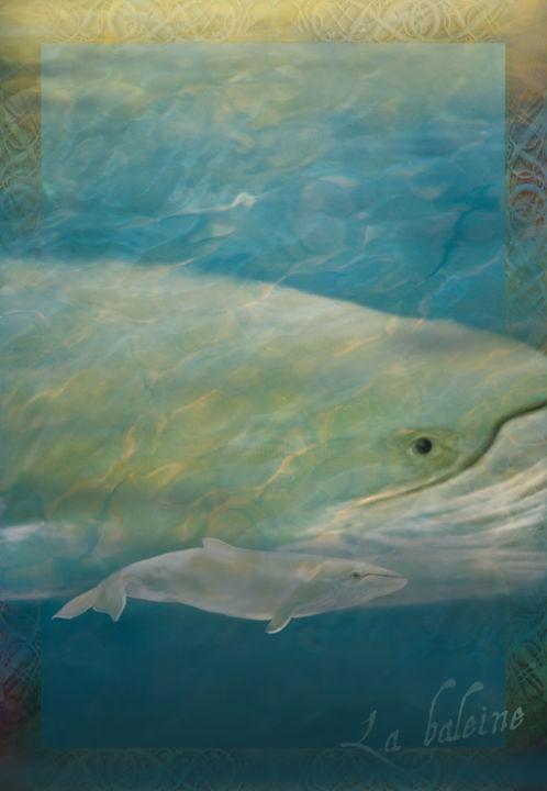 Digital Arts titled "baleine-et-son-peti…" by Marie-France Venon, Original Artwork, Digital Painting