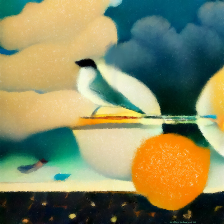 Arte digitale intitolato "L'uccello dei mondi…" da Matteo Garagiola Lacchiarella, Opera d'arte originale, Lavoro digitale 2D