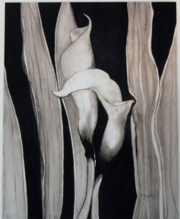 Painting titled "arums noirs #artist…" by Dominique Kuehn, Original Artwork, Watercolor
